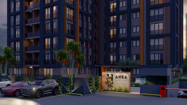 Anka Avcılar - 1